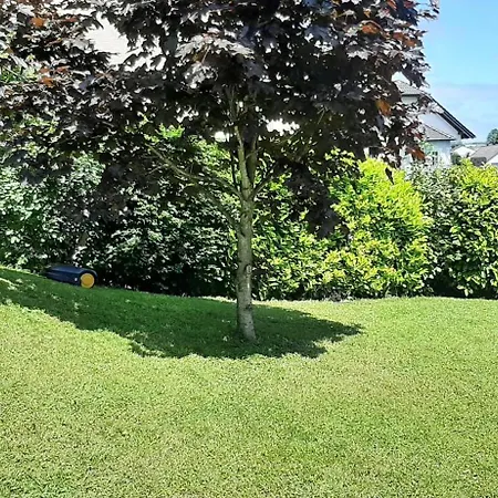 Eifel Dream Kleinenims